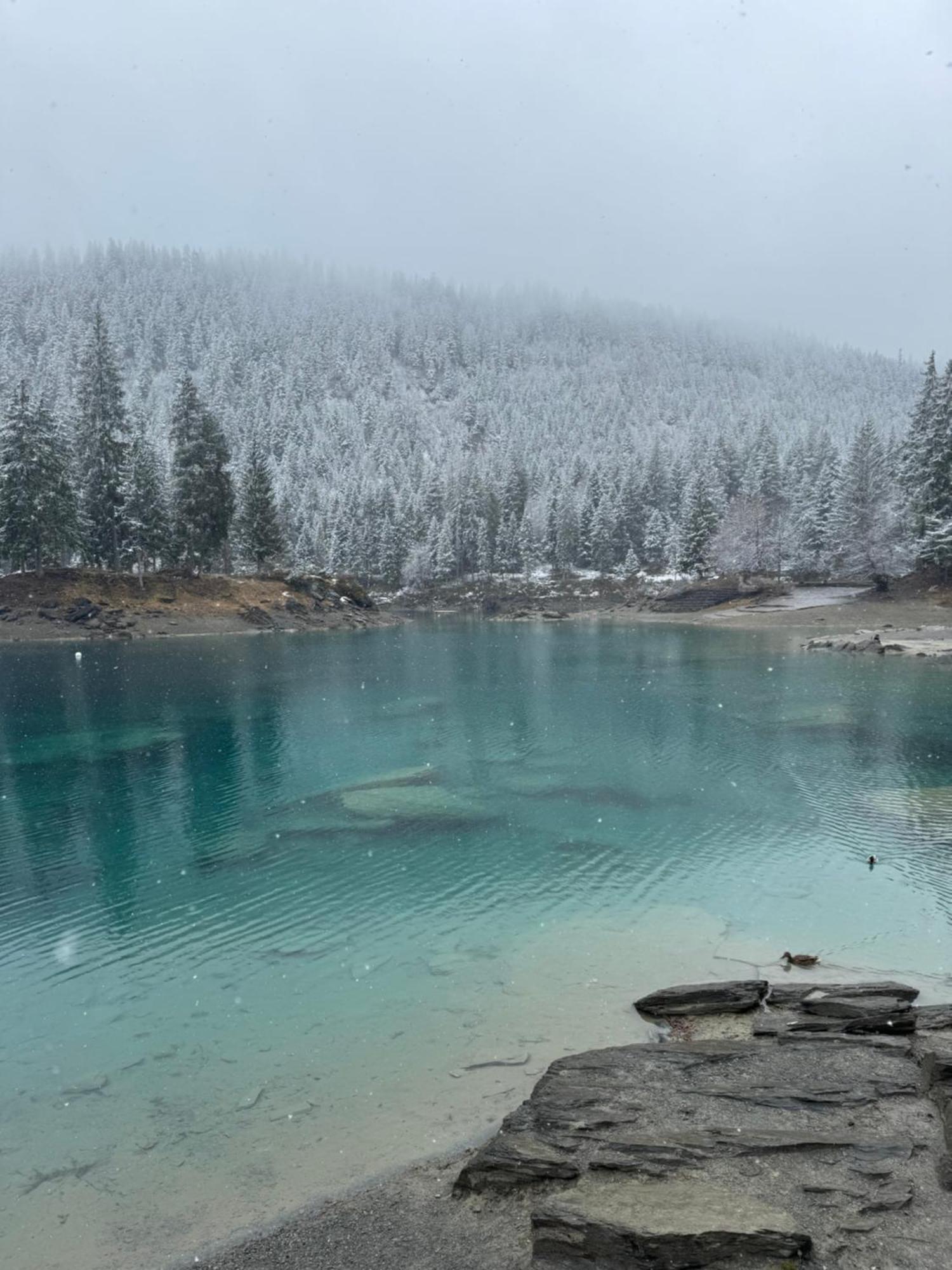 Waldheim Pension Laax Luaran gambar